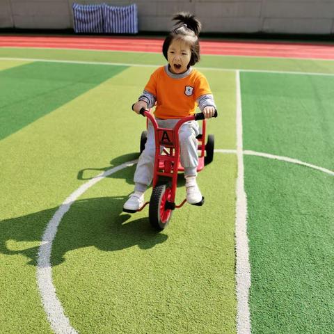 幼儿园的快乐生活——XX幼儿园一周回顾