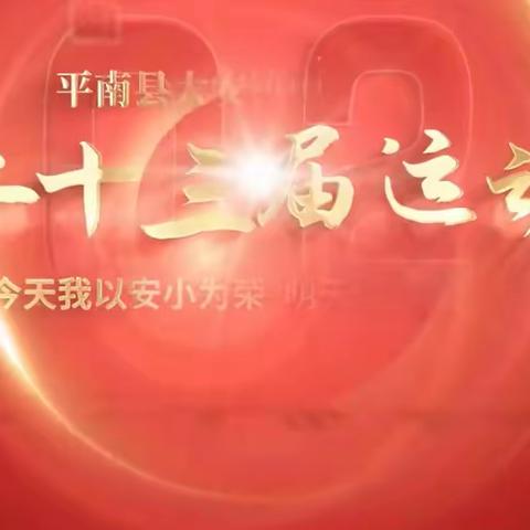 【平淡】阳光少年，激情飞扬         一记二十三届校运会盛况(大安镇中心小学2110班)