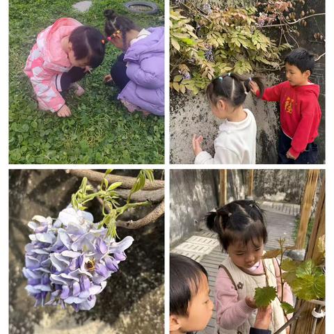暖风三月——金粟幼儿园﻿中一班三月月总结