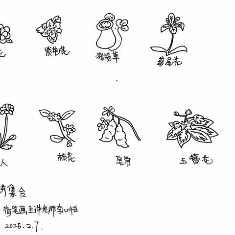 第二部分  植物篇总第37周——再谈花卉集