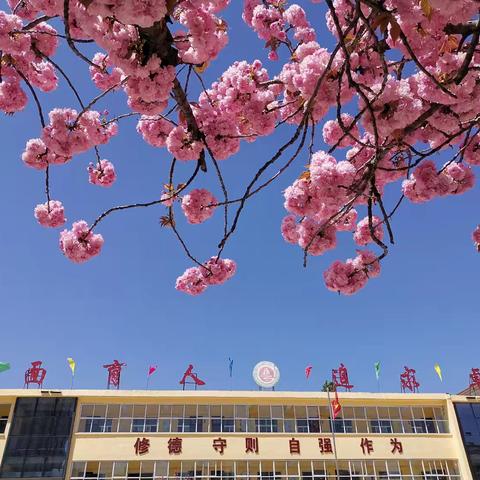 教研领航促成长 ﻿凝心聚力拓新程 ——城关中学数学学科组第三周活动纪实