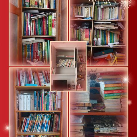 黎正昊家的藏书世界