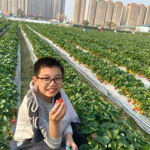 草莓采摘园的田园之旅