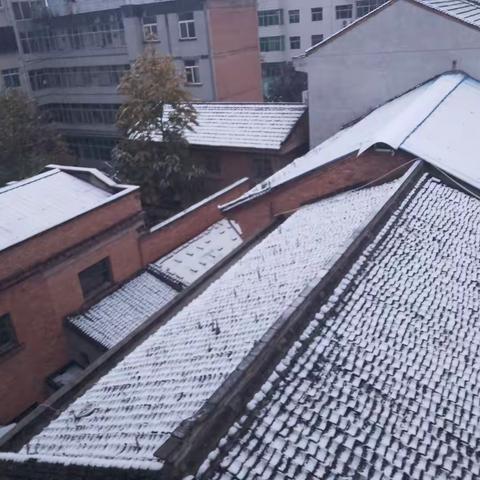 又是一年雪花飘