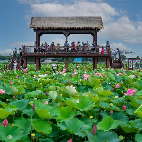 遇见初夏