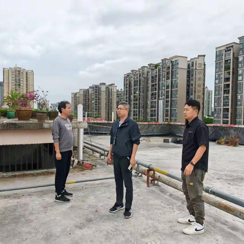 金沙街综合行政执法队11月11日工作简报