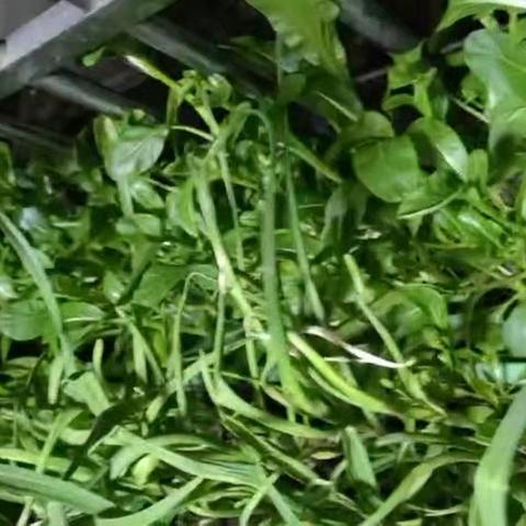 我们的寒假生活