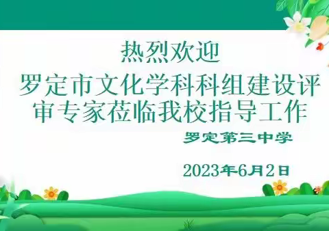 聚焦科组建设，共谋学科发展——记罗定第三中学文化学科科组建设评比工作