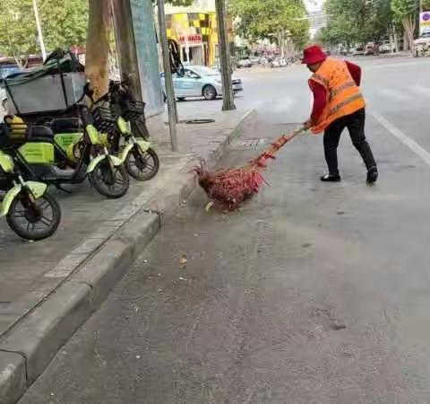 节后清洁大扫除，环境卫生展新颜