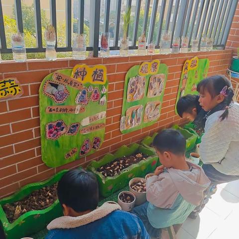 观自然，趣写生———东方之星幼教集团总园中一班