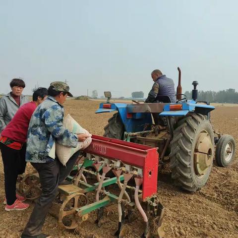 不误农时秋播忙——鹤壁经济技术开发区龙岗街道稳步有序推进冬小麦播种工作