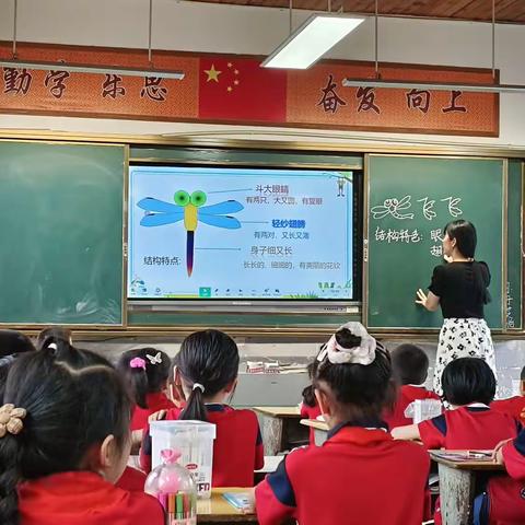 寓教于乐，育美育心——红旗小学2023年上学期美术组教研活动