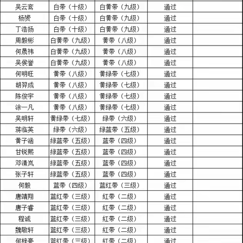 飞鹰国际跆拳道2024年春季晋级通过名单