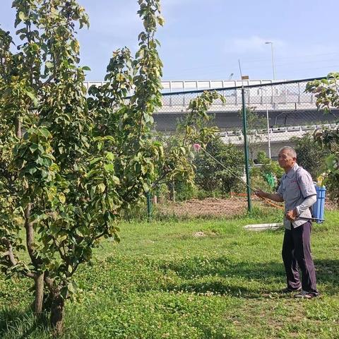 后勤部物业日常工作2023-6-6  16.40分发布