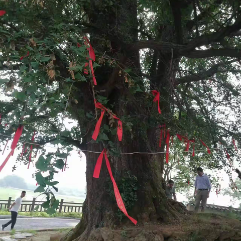 林泉及岷山采风诗词选辑