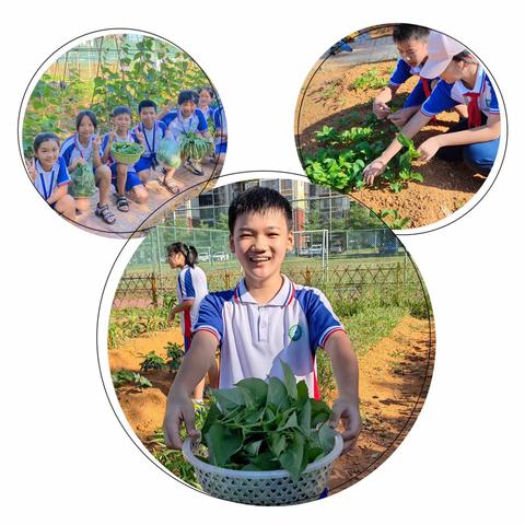 寻味端午 香飘实小——记琼海市实验小学五年级组综合实践活动日