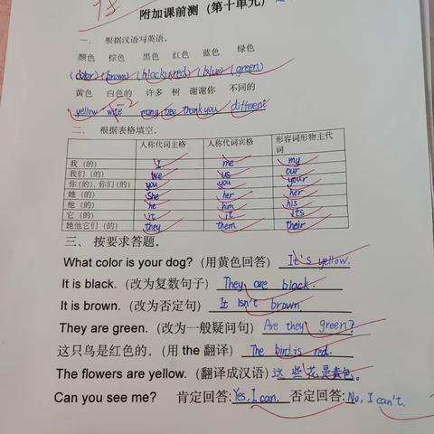 6.4周日下午三年级英语