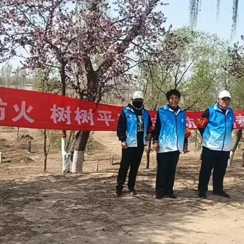 西张村开展清明节安全防火巡查工作