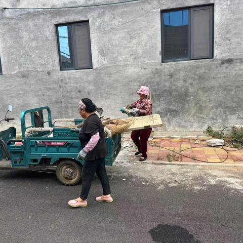 西张村开展人居环境整治活动