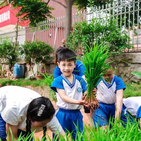 【幼小衔接 我们在行动】——青幼教育和谐生态幼儿园幼小衔接宣传