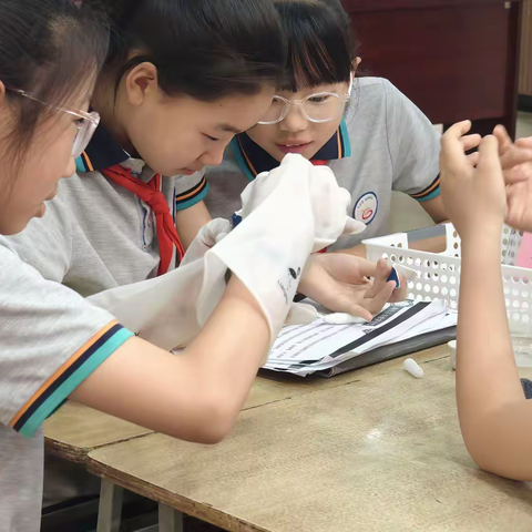 融合创新|技术赋能——合肥市琥珀名城小学教育集团明皇路小学市级课题《数字化视域下小学劳动教育与信息科技跨学科融合探究》区级课例研讨（二）