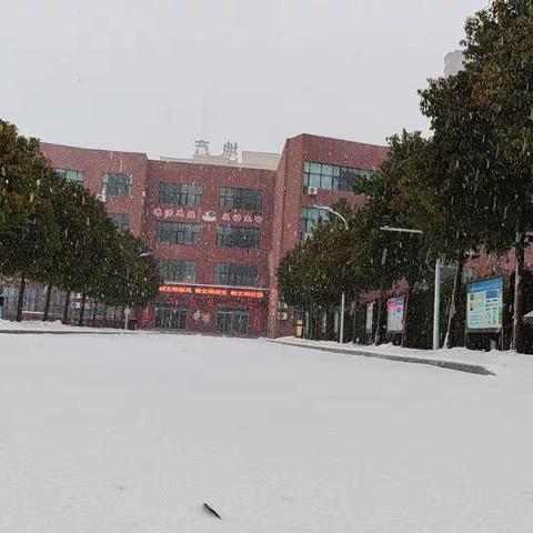 瑞雪洒满校园  扫雪情暖心间——漯河市实验小学西城校区教职员工扫雪行动