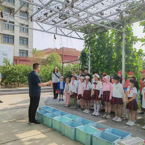 采摘之获快乐多，义卖之行成长丰——漯河市实验小学西城校区四三班学生采摘义卖活动纪实