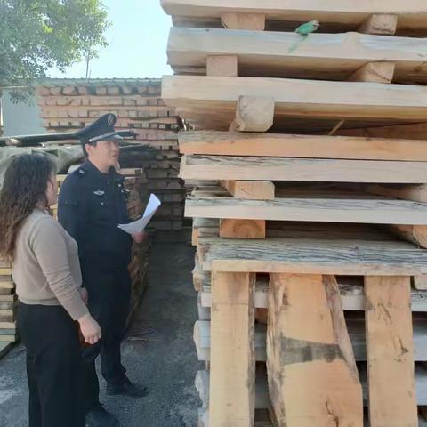 兴平市积极开展涉木企业松材线虫病巡查