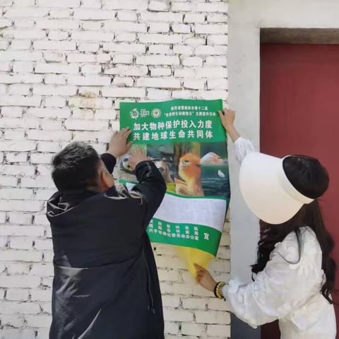 兴平市“非法猎捕贩卖鸟类等野生动物排查整治”工作周报