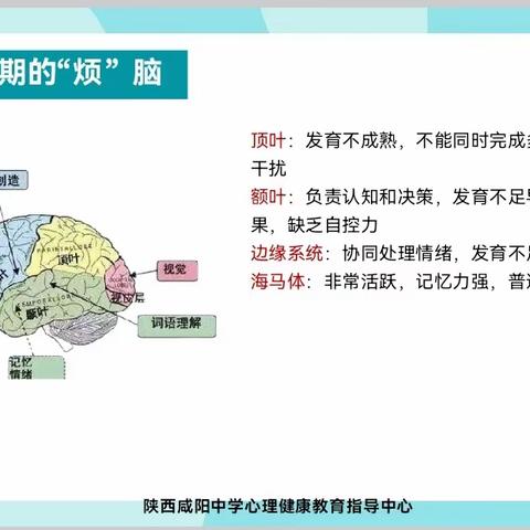 解密青春期，听懂少年心——陕西咸阳中学开展线上家长心理课堂