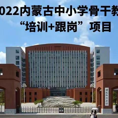 跟岗研修赋能专业成长 ——隋文秀老师跟岗研修记