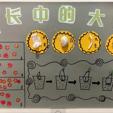 朦朦老师的美篇