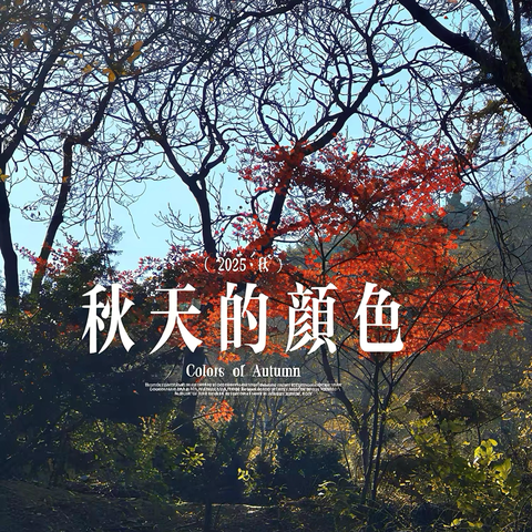 秋天的颜色