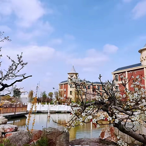 破译家校沟通密码，解锁教育共生密钥——读《班主任与家长沟通的艺术》有感