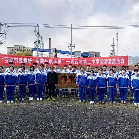 汗水浇灌收获，劳动孕育成长——高一四班劳动实践基地收获大头菜纪实