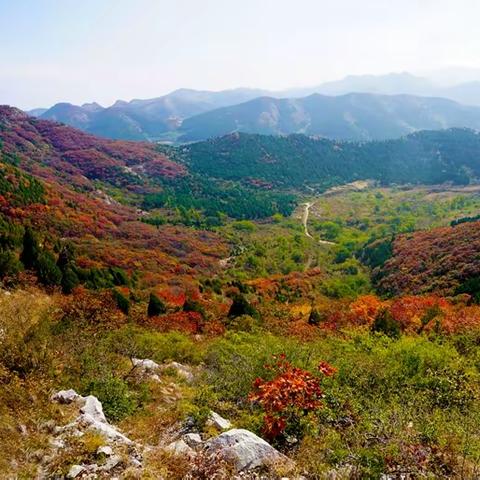 重阳节登蚰蜒西姑山