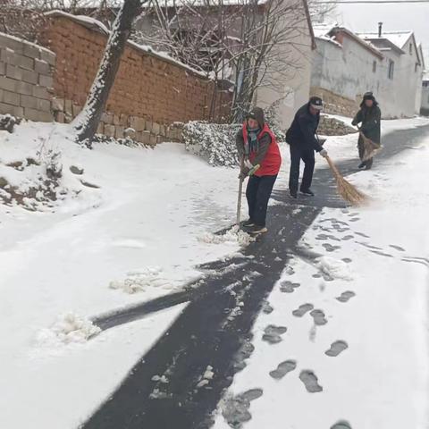 以雪为令，闻雪而动，南双王村除雪在行动