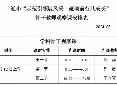 “示范引领展风采，砥砺前行共成长”——骨干教师观摩课