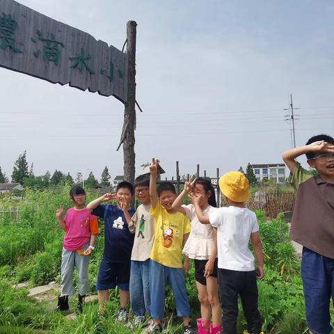 开心农场耕作忙  播种希望向阳长