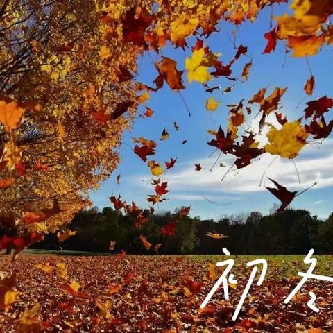 黔城完小幼儿园中二班“爱在暖冬——树叶粘贴画”亲子活动的美好记录📷