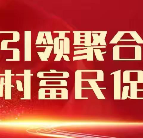 曹溪镇多举措全力做好防汛救灾工作