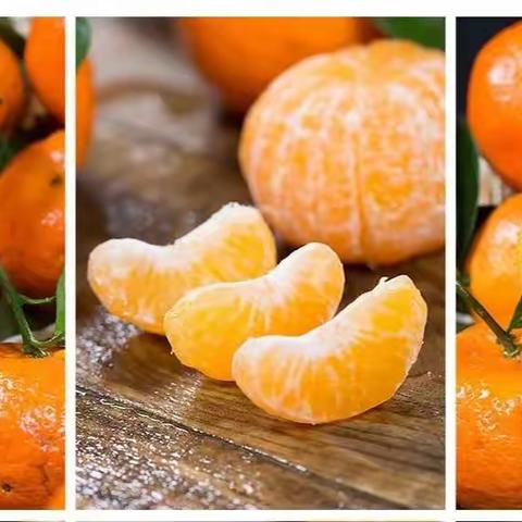 遇见🍊橘子