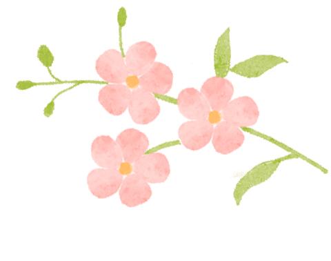 春日里的花花世界