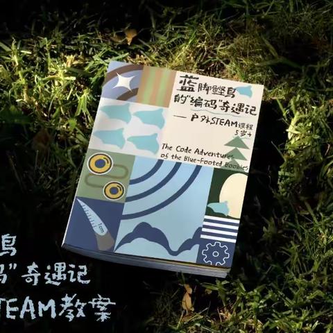 教案上新｜STEAM融入森林教育，与蓝脚鲣鸟进行一场全新的“编码”奇遇记