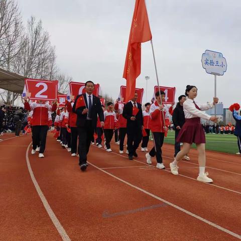 团结与激情的绽放——嵩县第三实验小学八百人团体操训练纪实