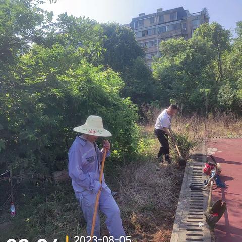 清除绿化杂草🌱  美化园区环境🌷