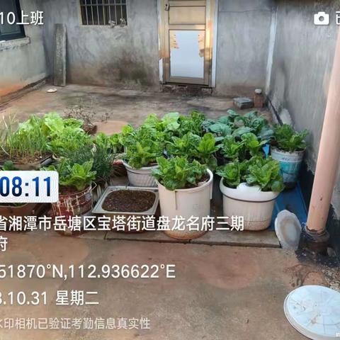 物业各部门清理整顿顶楼种菜