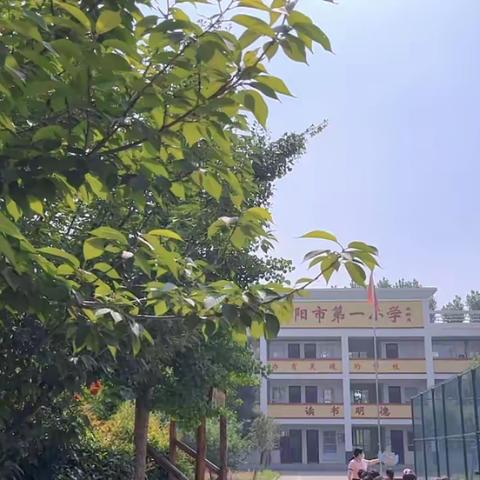 百花园幼儿园幼小衔接  “走进小学”