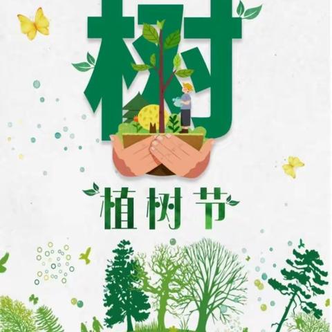 植此青绿  树梦远航   ——第八实验幼儿园大二班