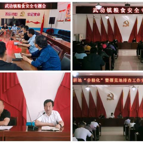 武功县武功镇：下好“五步棋”，守牢粮食安全